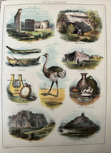 Antique print babylon bible - antique,