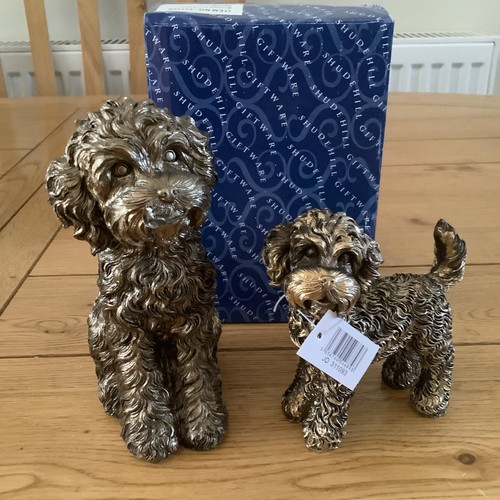 Cockapoo shudehill 2 - cockapoo, by