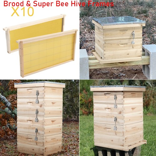 Tiers langstroth beehive - 3,