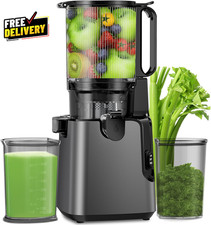 400W Cold Press Juicer Machine