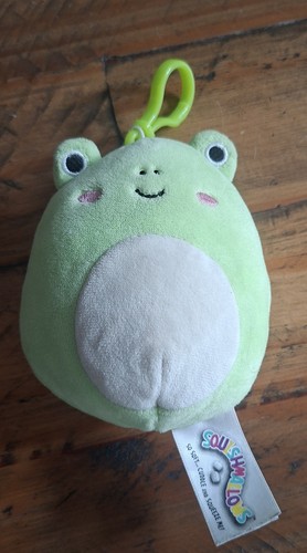 Wendy the frog squishmallows - wendy,