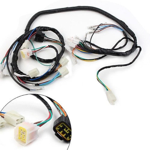 Wire harness assy - 1x,