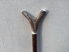 Red Deer Antler Walking Hazel