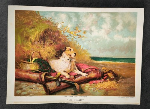 Antique 1904 fox - antique,