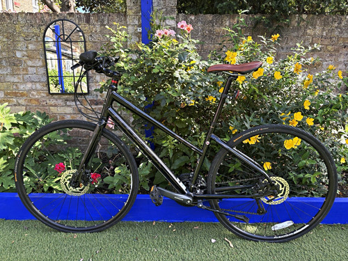 Ridgeback element hybrid - element,