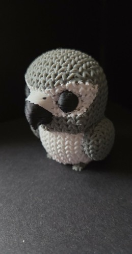 Printed african grey - 3d, parrot