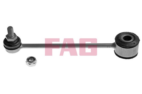 818 0310 fag rod strut - 0310, 10