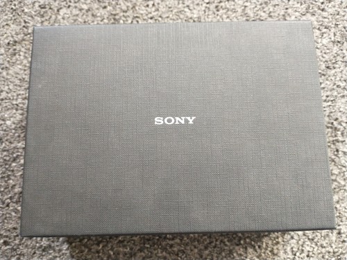 Sony walkman a1000 - sony, nw-a1000