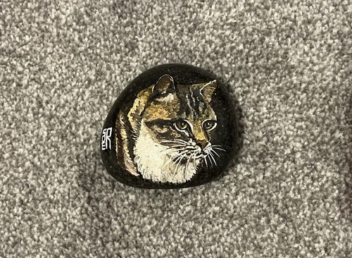 Signed painted cat stone - signed,