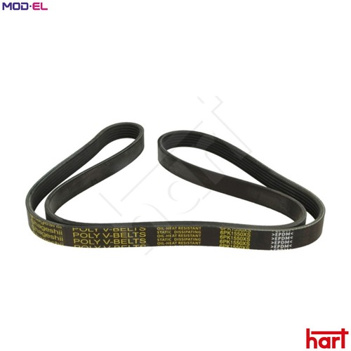 Vribbed belt 917 791 - 917,