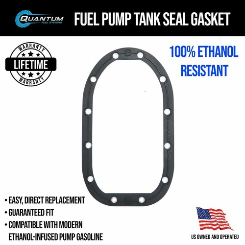 Viton fuel pump - pump, seal