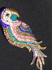 ❌❌REDUCED❌❌PARROT