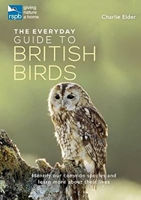 The rspb everyday guide - everyday, to