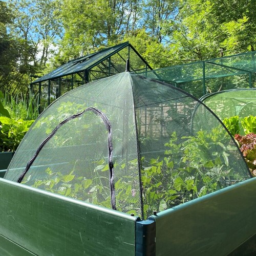 Gardenskill pop crop fruit - pop, n