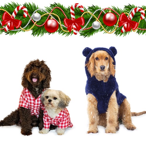 Dog jumper xmas blue - xmas, or