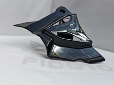 Carbon Fibre BMW S1000RR 2020