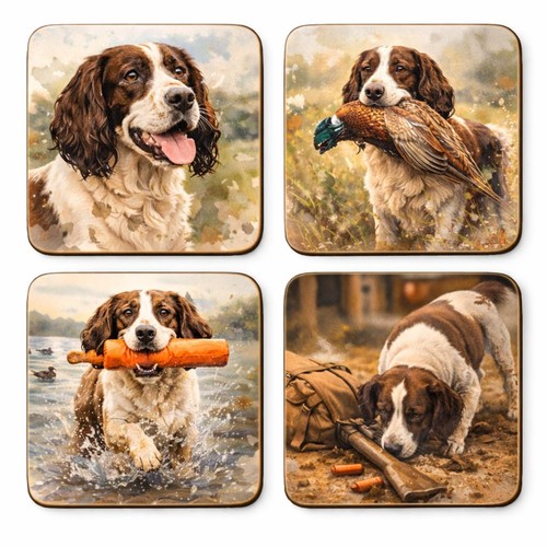 Springer spaniel coaster set - springer,