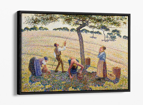 Apple harvest camille - apple, by