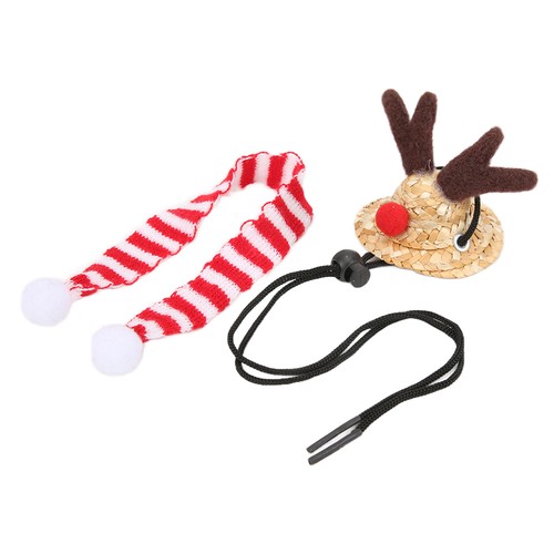 Lizard christmas costume - christmas,