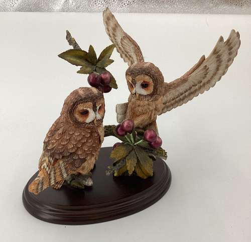 Country artists tawny - country, owl