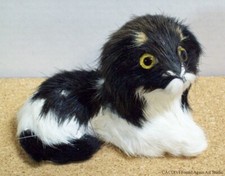 Lhasa Apso Dog Glass Eyes