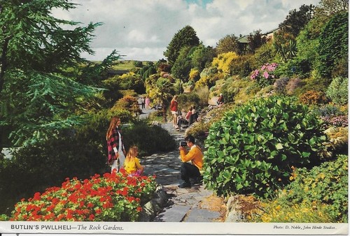 Butllns pwllheli rock gardens - rock,