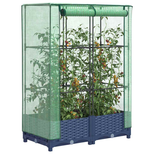 Raised bed greenhouse cover - greenhouse, pp