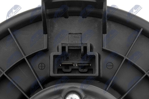 Fits nty ewn 002 - fits,