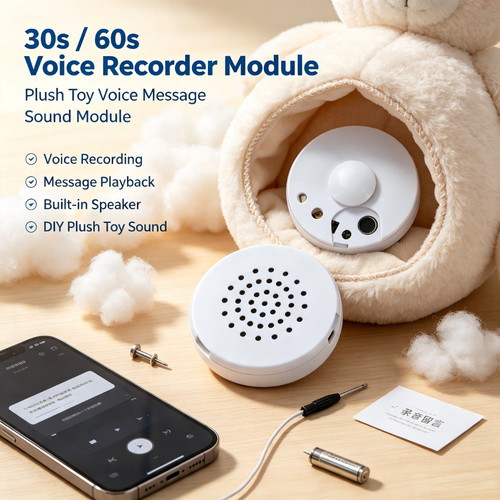 Second mini voice - 30/60,