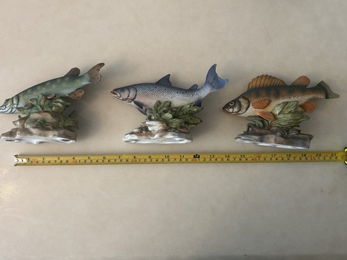 The angler showcase - the, angler's