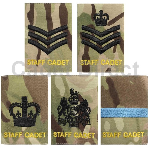 Acf staff cadet - staff,