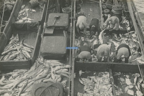 Hull memory lane - memory, fishing