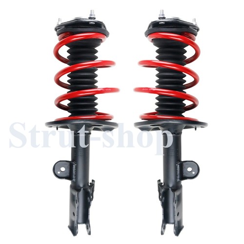 Complete suspension struts for - complete,