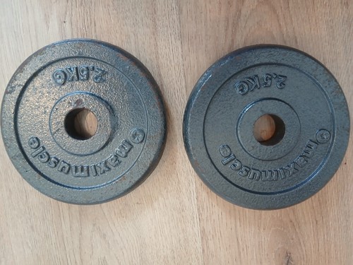 Cast iron weight plates - iron, 2x