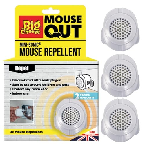 The big cheese mouse out - big,