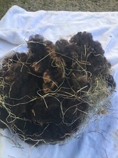 Natural Nesting Material for Birds - 100% Natural Wool and Hay mix. 50g