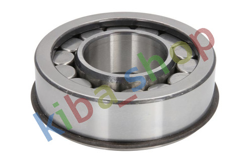 Input shaft bearing - input,