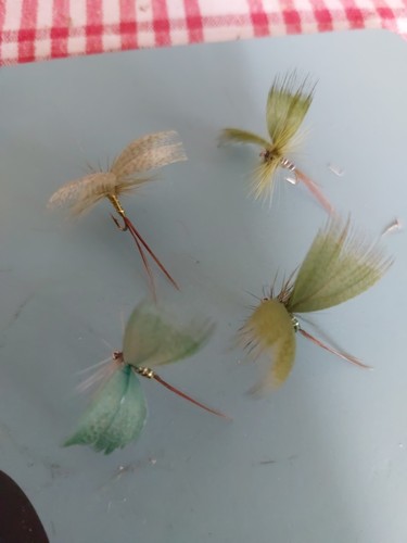 Green drake mayfly - green,