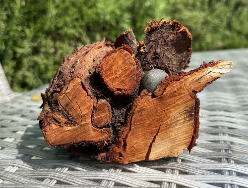 Chunky driftwood log - chunky,