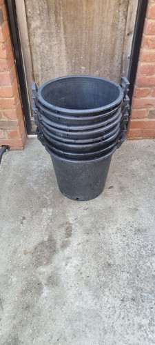 Large plant tree pot - tree,