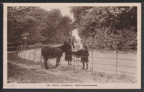 Donkey field uphill village - uphill,