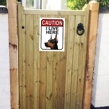 CAUTION I LIVE HERE doberman