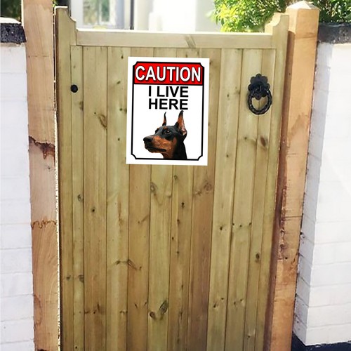 Caution live here doberman - i,