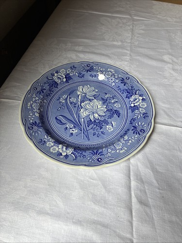 Spode blue room - spode,
