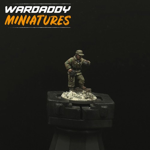 Pro painted 28mm - painted, action