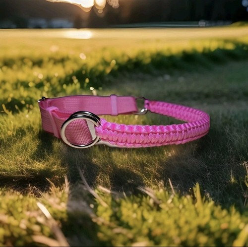 Bitless bridle attachment - , in