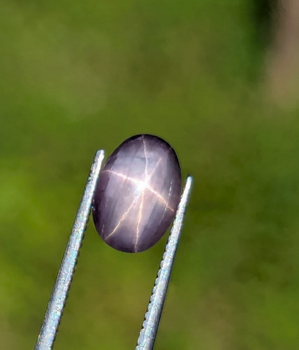 Natural black star sapphire - natural,