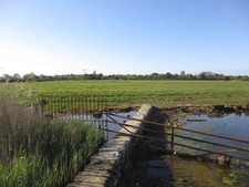 Photo A3 Grazing Land Thorney