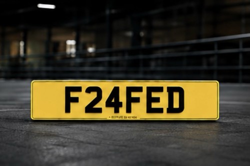 F24fed registration number - registration,