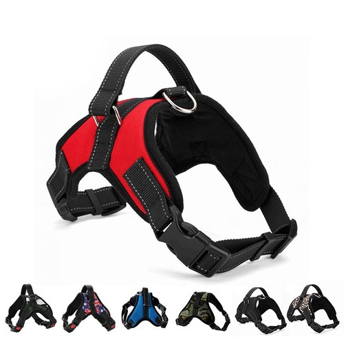 Dog harness pull for - no,